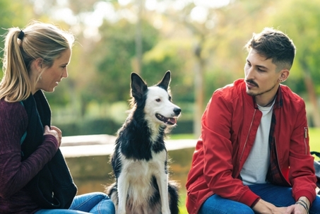Couple On Grass With Dog